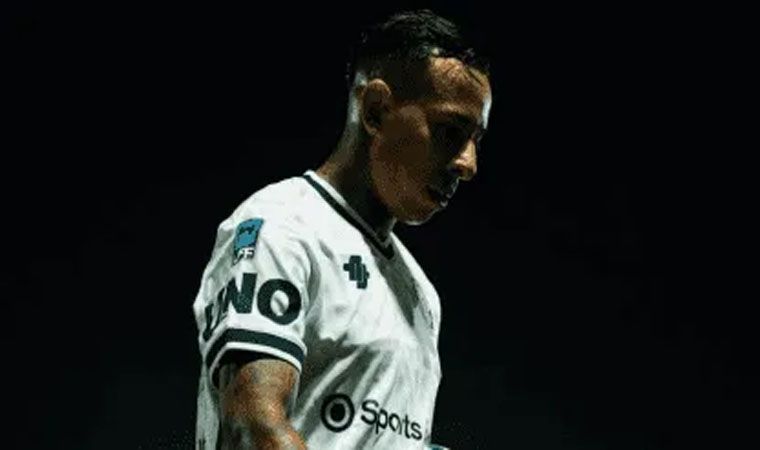 343296_1781881378.jpg