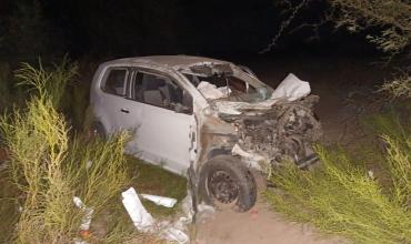 Villa Unión: un conductor resultó herido tras chocar contra dos animales sueltos en la Ruta Nacional 76