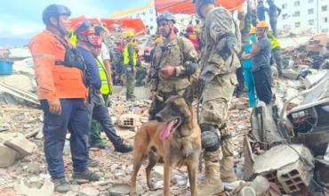 Quién es Bart, el perro argentino que ayudó a rescatar a dos menores de entre los escombros en Venezuela