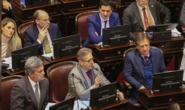 Reforma electoral: senadores radicales resisten las colectoras y frenan el proyecto
