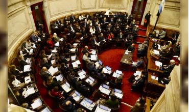 Senado: cómo impactaría la nueva norma de la propiedad en la compra de campos por empresas extranjeras