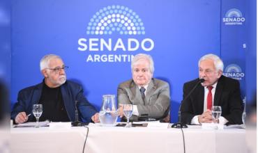 Senado: buscan prorrogar el mandato del camarista Víctor Pesino antes de que cumpla 75 años