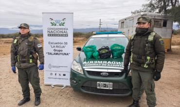 Control en La Rioja: incautan más de 19 kilos de hojas de coca en un colectivo
