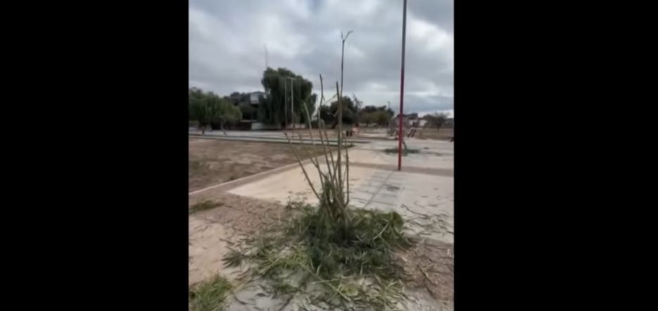 Vandalizaron 11 plantas en el Centro Administrativo y Social de Chepes