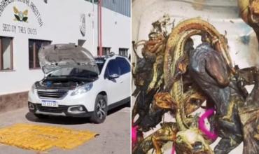 Cayó “la banda de la magia negra” en Jujuy: tenían 61 kilos de cocaína y hacían “brujerías” para proteger los cargamentos