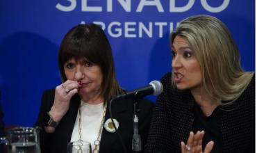 Ley de Tierras: el Senado vuelve a darle un golpe de realidad a Javier Milei y eliminaron el capítulo que generó debate