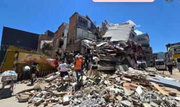 Un argentino que sobrevivió al terremoto en Colombia terminó internado tras ser atacado por miles de abejas