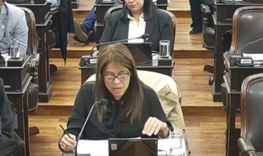 Diputados debatieron el aumento de la tarifa eléctrica y pidieron medidas para aliviar el impacto en los usuarios