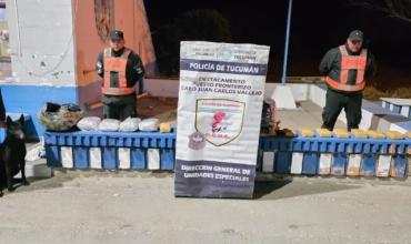 Encomiendas narco: secuestran 18 kilos de marihuana y tres personas fueron detenidas en La Rioja