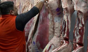 Las exportaciones de carne vacuna crecieron 42% en valor en los primeros siete meses del año