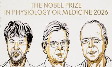 Premio Nobel de Medicina 2026: Karl Deisseroth, Peter Hegemann y Georg Nagel fueron reconocidos por la optogenética, un método que permite controlar señales nerviosas con luz