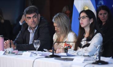 En plena puja con los aliados, el Gobierno busca acelerar un acuerdo en el Senado para cambiar la ley de salud mental