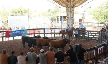 La Rioja realizará el quinto Remate de Cabañas Riojanas el 4 de noviembre en Cruz del Eje