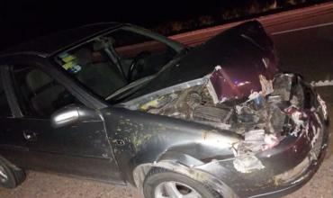 Un automóvil atropelló y mató cinco cabras en Ruta Nacional 77