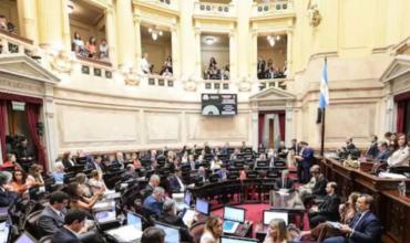 Senado aprobó un RIGI para inversiones medianas en economías regionales llamado RIIR