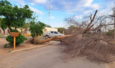 Fuertes ráfagas de viento provocaron algunos destrozos en Ulapes  