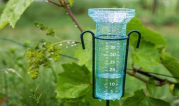 Dieron a conocer los milímetros de agua caída por la lluvia en Chamical 