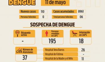 Dengue: se reportaron 110 nuevos casos  