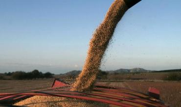 El aporte del campo a Javier Milei: proyectan que ingresarán más de US$ 30.000 millones por exportaciones de granos y subproductos