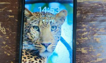  Recuperaron un celular perdido en un remís en el barrio La Florida