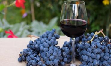 Aranceles de Trump: qué puede ocurrir con las exportaciones de malbec, estrella del vino argentino