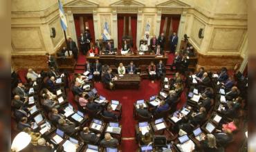 El Senado sesiona el jueves en homenaje al Papa Francisco y patea Ficha Limpia para dentro de dos semanas