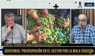 José Hilal, presidente de la Cámara de Industriales Olivícolas, en Fenix: “Esta fue una de las peores cosechas de aceituna en la historia de La Rioja”