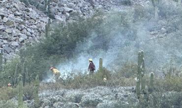 Combaten tres focos de incendios en la Provincia
