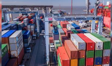 La Aduana cerró una de las terminales portuarias de Buenos Aires ante los desmanejos que se denuncian a diario