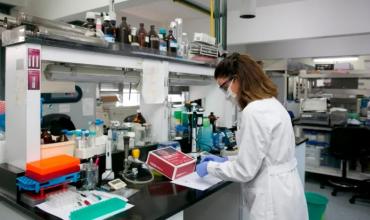 Científicos del Conicet recibieron un importante subsidio para desarrollar terapias contra el cáncer: de qué se trata