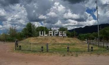 Ulapes: denuncian el robo de una motosierra en zona rural