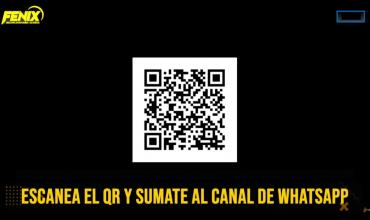 MULTIPLATAFORMA FÉNIX lanza su canal de WhatsApp de noticias las 24 horas