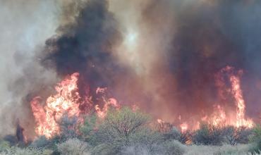 Incendio forestal activo en San Blas de Los Sauces obligó a evacuar una vivienda