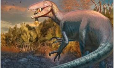 Hallan restos de un dinosaurio carnívoro que habría sido de los últimos en extinguirse