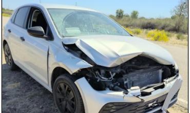 Accidente de tránsito en Ruta provincial 5 : un auto chocó contra un animal suelto 