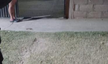 Desactivan fiesta de egresados sin autorización en el sur de la ciudad