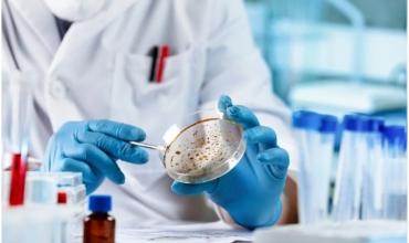 Científicos argentinos lograron visualizar con IA neurorreceptores vinculados a enfermedades neurológicas