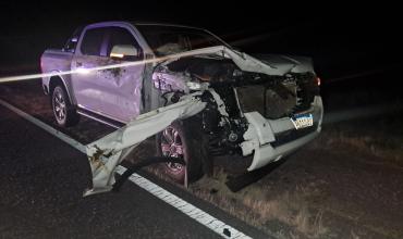  Milagro: Camioneta impactó  con un animal vacuno en Ruta 77, 