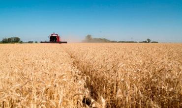 Histórico septiembre: el agro liquidó USD 7.107 millones por el régimen de retenciones cero