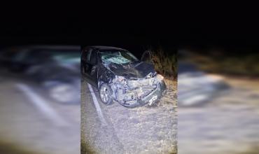 Policía resultó ileso tras colisionar con un animal vacuno en la madrugada