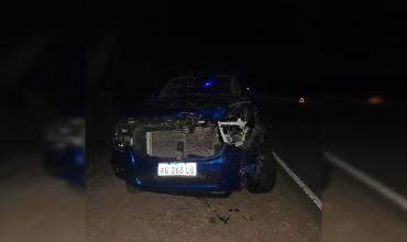 Pareja catamarqueña resultó ilesa tras chocar con una vaca en Ruta Provincial N° 9